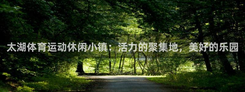中欧体育kok官网首页