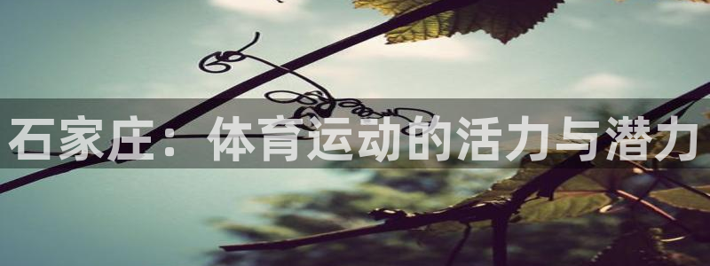 中欧体育在线
