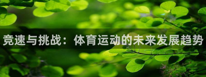 中欧体育网站